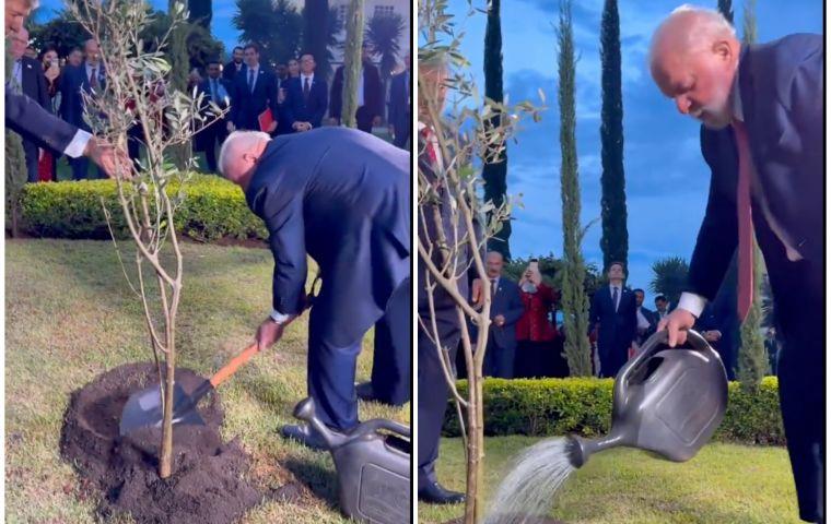 Brazil: Pres Lula Plants Tree Of“Hope” At Palestinian Embassy