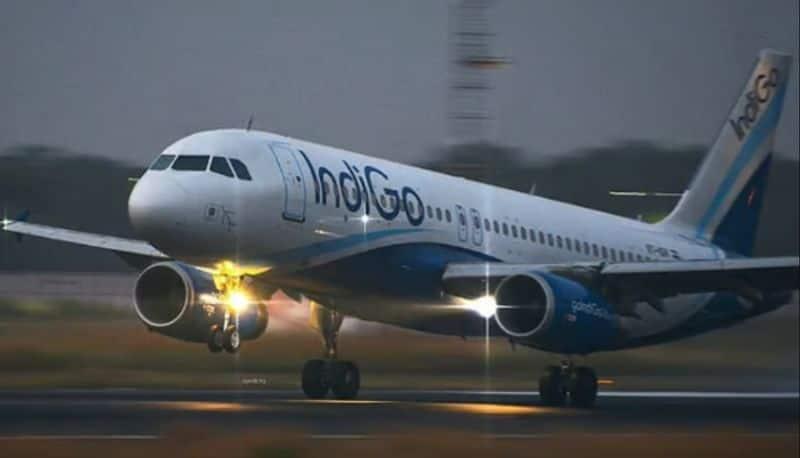 Delhi Airport Gridlock: Indigo Flight's Landing Mishap Sparks Runway Delays