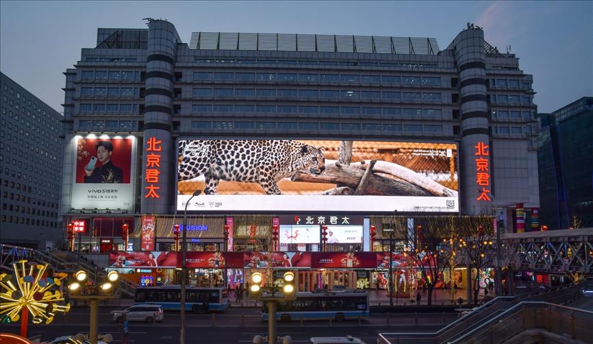 Royal Commission for AlUla celebrates International Day of the Arabian Leopard with new ‘Leap of Hope’ Campaign to strengthen global awareness and action to conserve critically endangered Big Cat species