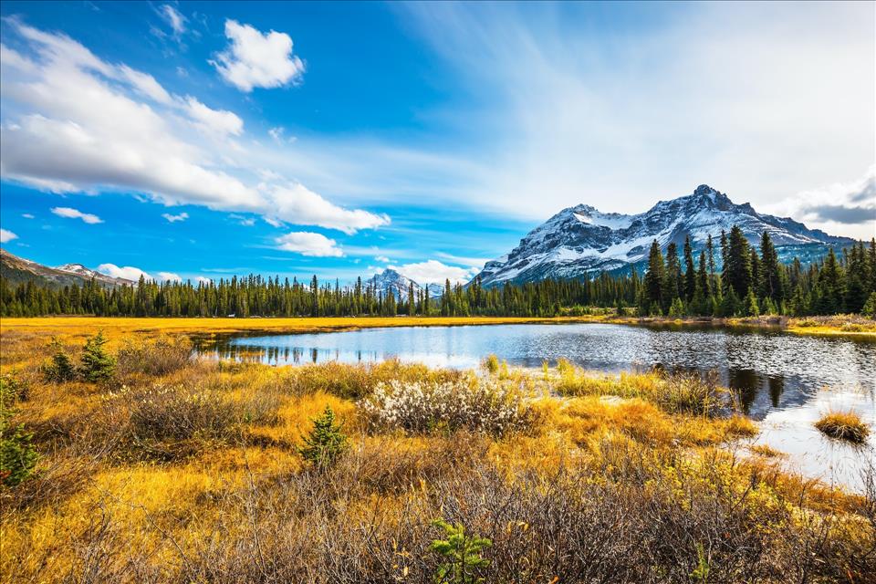 'Fortress' Conservation Policies Threaten The Food Security Of Rural