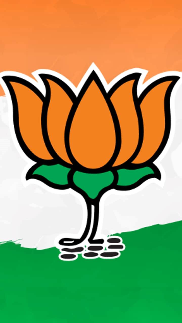 Department Of It, Website And Social Media, Bjp Mp - Bjp Logo Png Hd  Clipart - Large Size Png Image - PikPng