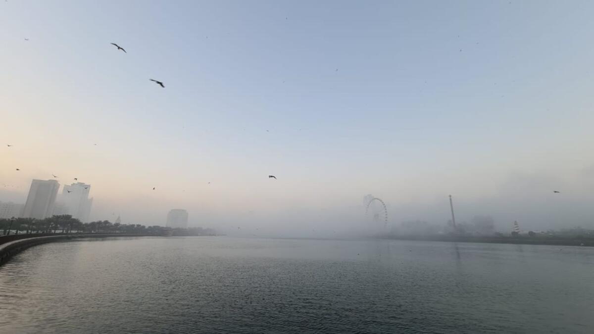 UAE Weather: Yellow Alert Issued For Fog    Humidity By Night UAE Weather: Yellow Alert Issued For Fog    Humidity By Night
