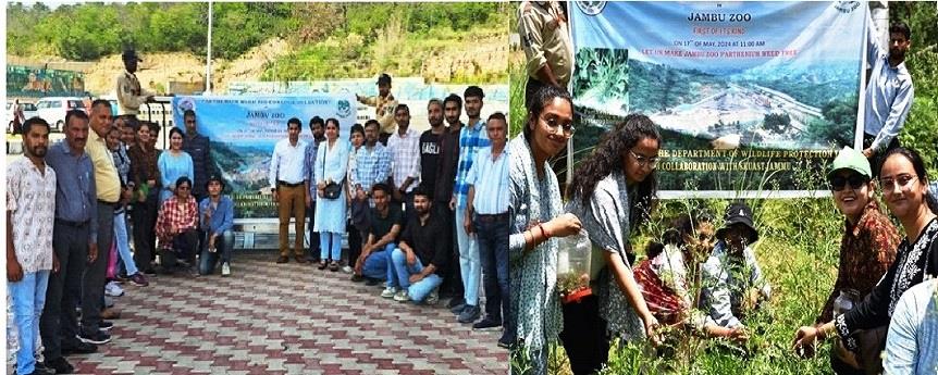 500 Mexican Beetles Introduced In Jambu Zoo To Stop Growth Of Parthenium Weed - Vimarsana News