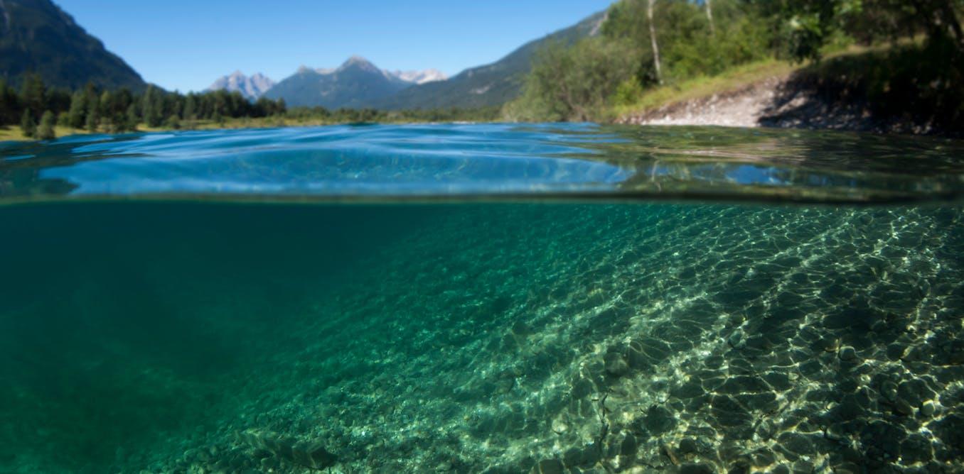 It's Hard To Find Fossil Skin, But A Rare Discovery Reveals Clues About The Evolution From Water To Land - Vimarsana News