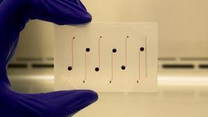 Indian-Origin Researcher Developing Vessel-Chip For Pharmaceutical Drug Testing - Vimarsana News