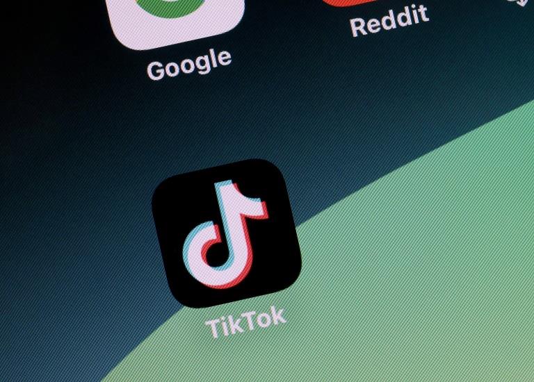 TikTok fails 'disinformation test' before EU vote, study shows - Vimarsana News