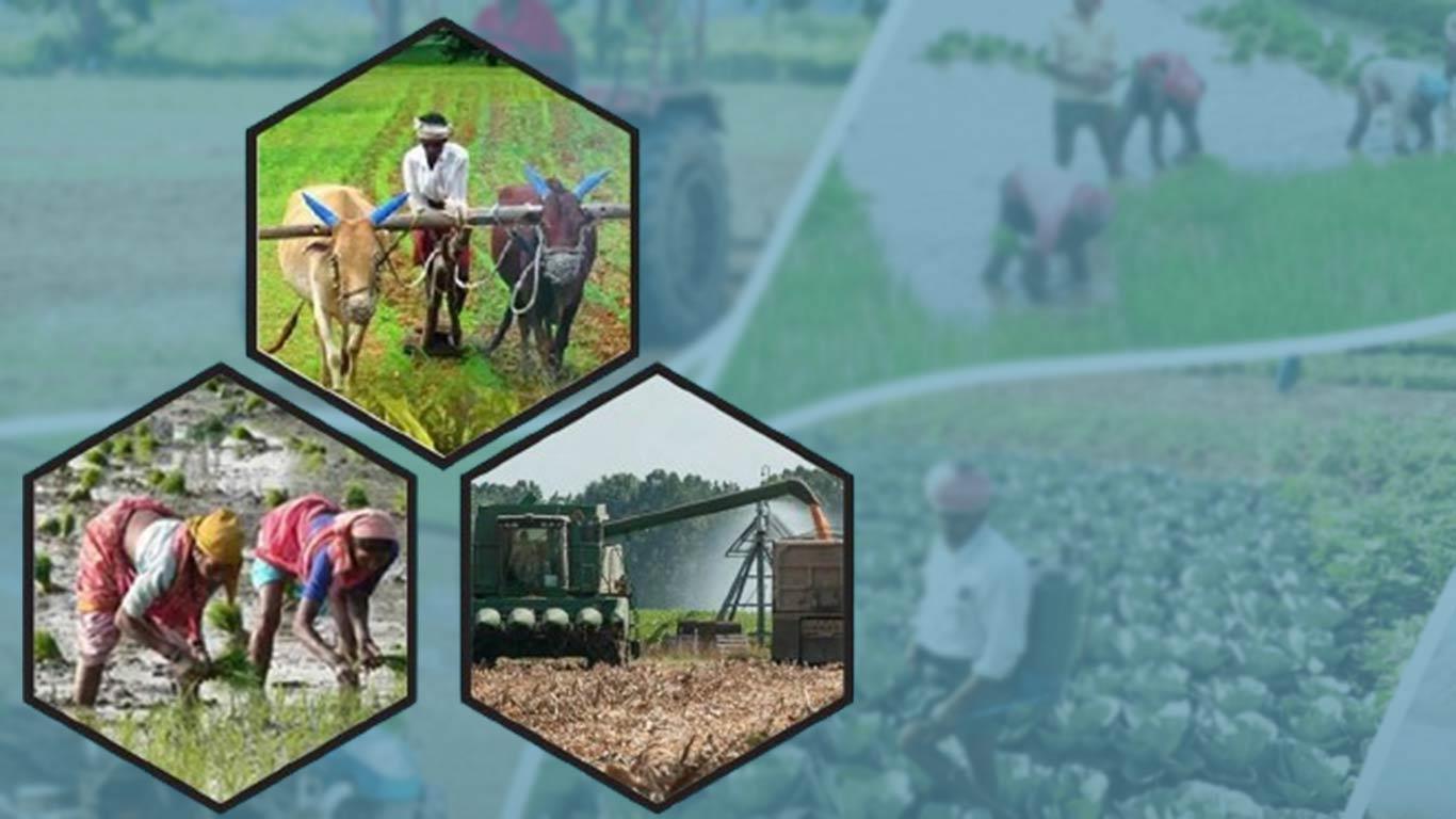 NAAS President Calls For Major Overhaul Of India's Agricultural Research And Education