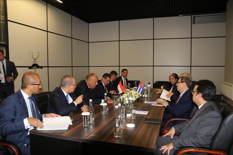 Shoukry, Rodríguez Meet To Address Gaza, Strengthen Egypt-Cuba Cooperation - Vimarsana News