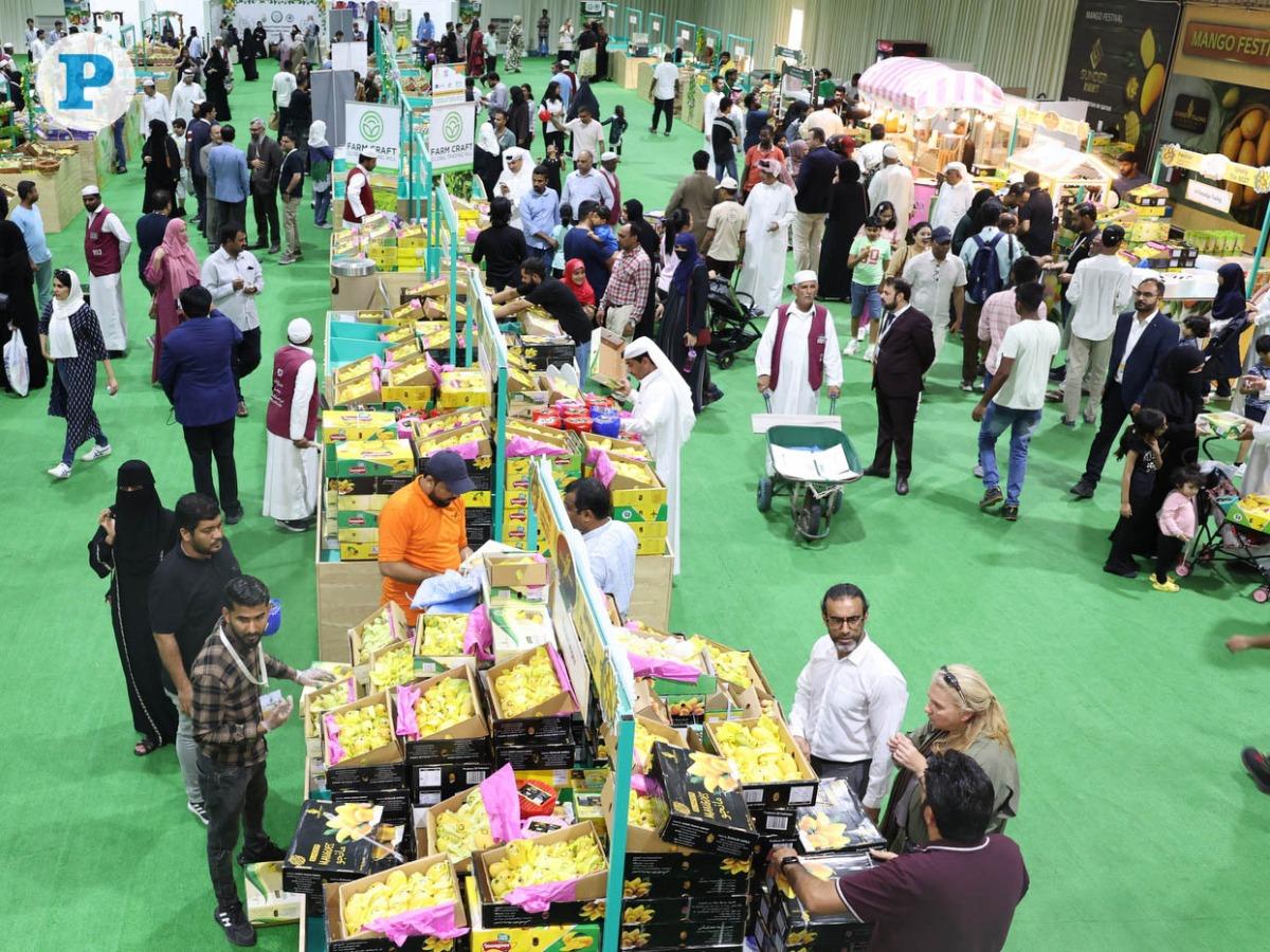Pakistani Mango Festival At Souq Waqif Concludes With Over 200,000 Kilos Sold Pakistani Mango Festival At Souq Waqif Concludes With Over 200,000 Kilos Sold