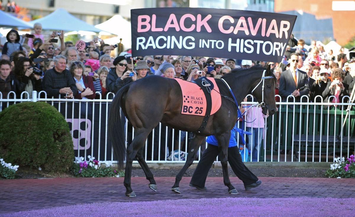 Australian Champion Race Horse Black Caviar Dies