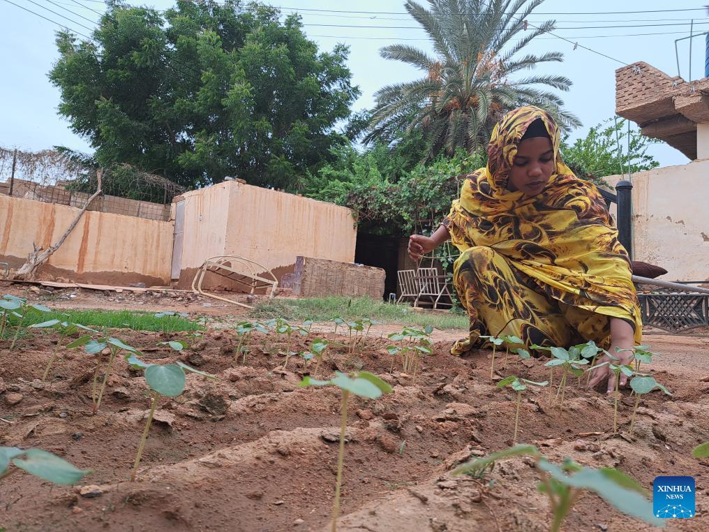 Sudanese use agriculture to survive in war and make a living