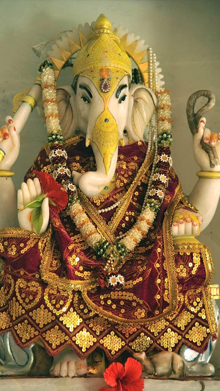 Ganesh Chaturthi 2024 6 Things You Should Not Offer Lord Ganesha