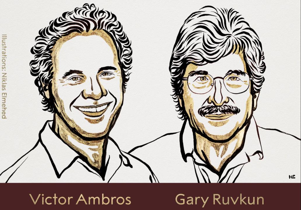 Nobel Prize In Physiology 2024 Goes To Victor Ambros, Gary Ruvkun