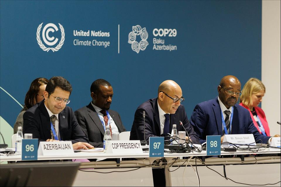 COP29 Is Over, But Climate Action Needs Private Funding Too Here Are 4 ...