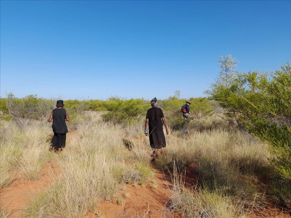 Scientists Worked With Warlpiri To Track Down Bilby Poo  And Uncover Clues To Help Conserve These Iconic Animals Sarah Maclagan/Author provided