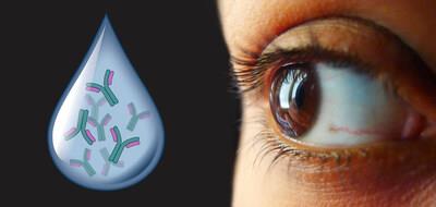 FDA Grants IND Clearance For Immunoglobulin Eye Drops To Treat Dry Eye Disease Patients In A Phase II Clinical Study FDA Grants IND Clearance For Immunoglobulin Eye Drops To Treat Dry Eye Disease Patients In A Phase II Clinical Study