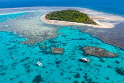 Australia's Great Barrier Reef Faces Sharp Coral Decline Amid Rising Climate Stress Australia's Great Barrier Reef Faces Sharp Coral Decline Amid Rising Climate Stress
