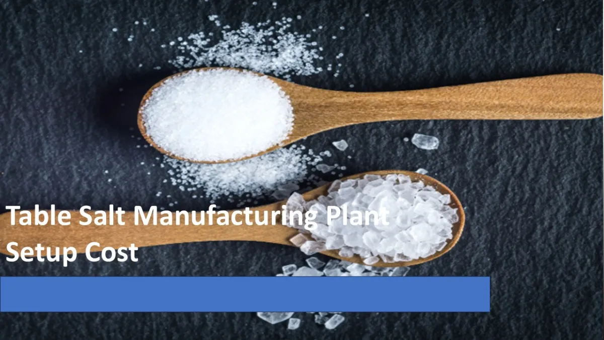 Table Salt Manufacturing Plant Setup 2025: Business Plan And Machinery Cost Analysis Table Salt Manufacturing Plant Setup 2025: Business Plan And Machinery Cost Analysis