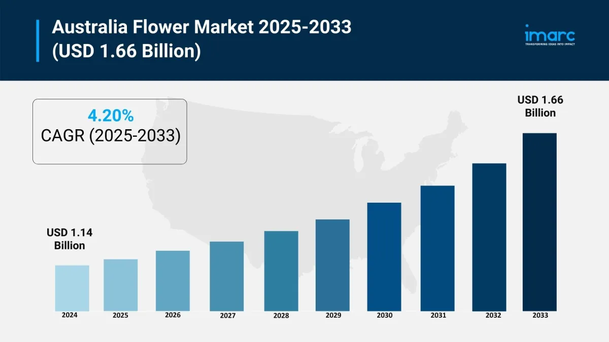 How Will Australia Flower Market Size, Share & Demand Evolve By 2033? How Will Australia Flower Market Size, Share & Demand Evolve By 2033?