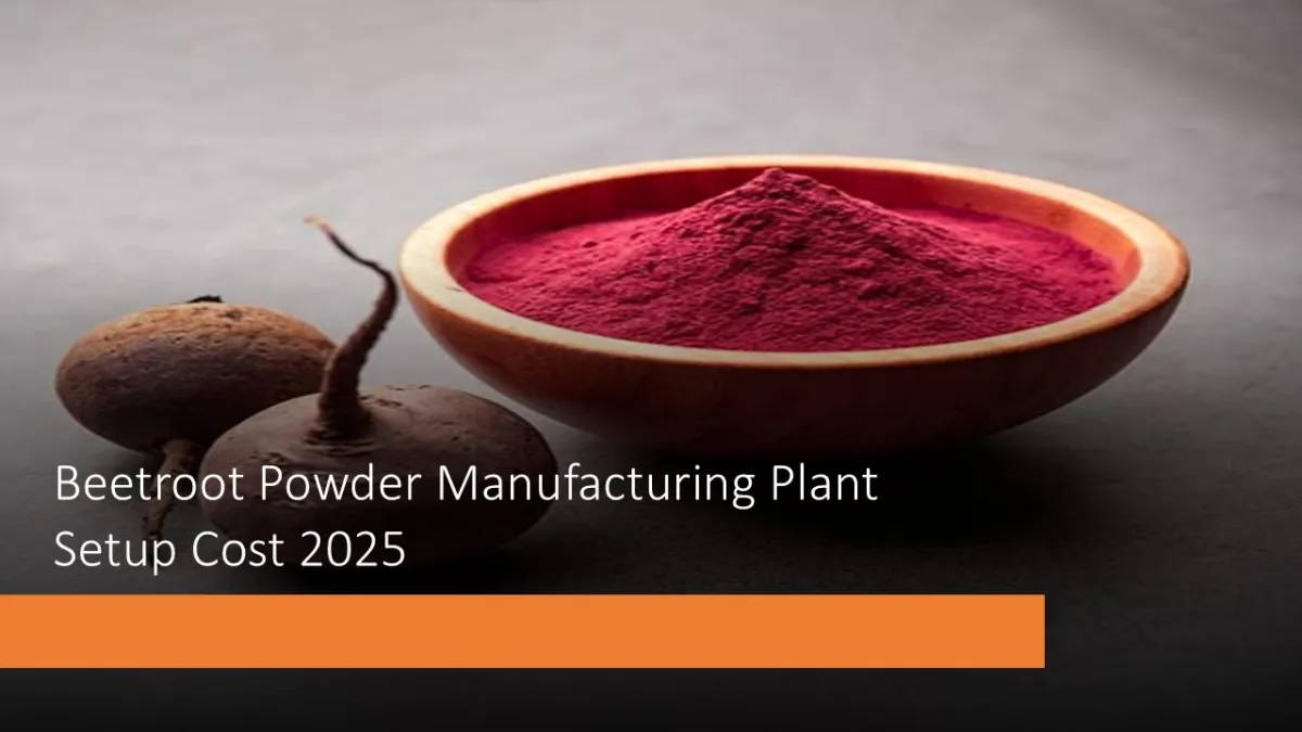 Beetroot Powder Manufacturing Plant Setup Report 2025: Comprehensive Business Plan And Capital Investments Beetroot Powder Manufacturing Plant Setup Report 2025: Comprehensive Business Plan And Capital Investments