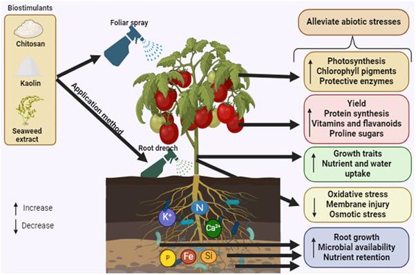 Boosting Farmers' Yield Gains In The Face Of Changing Environmental Dynamics