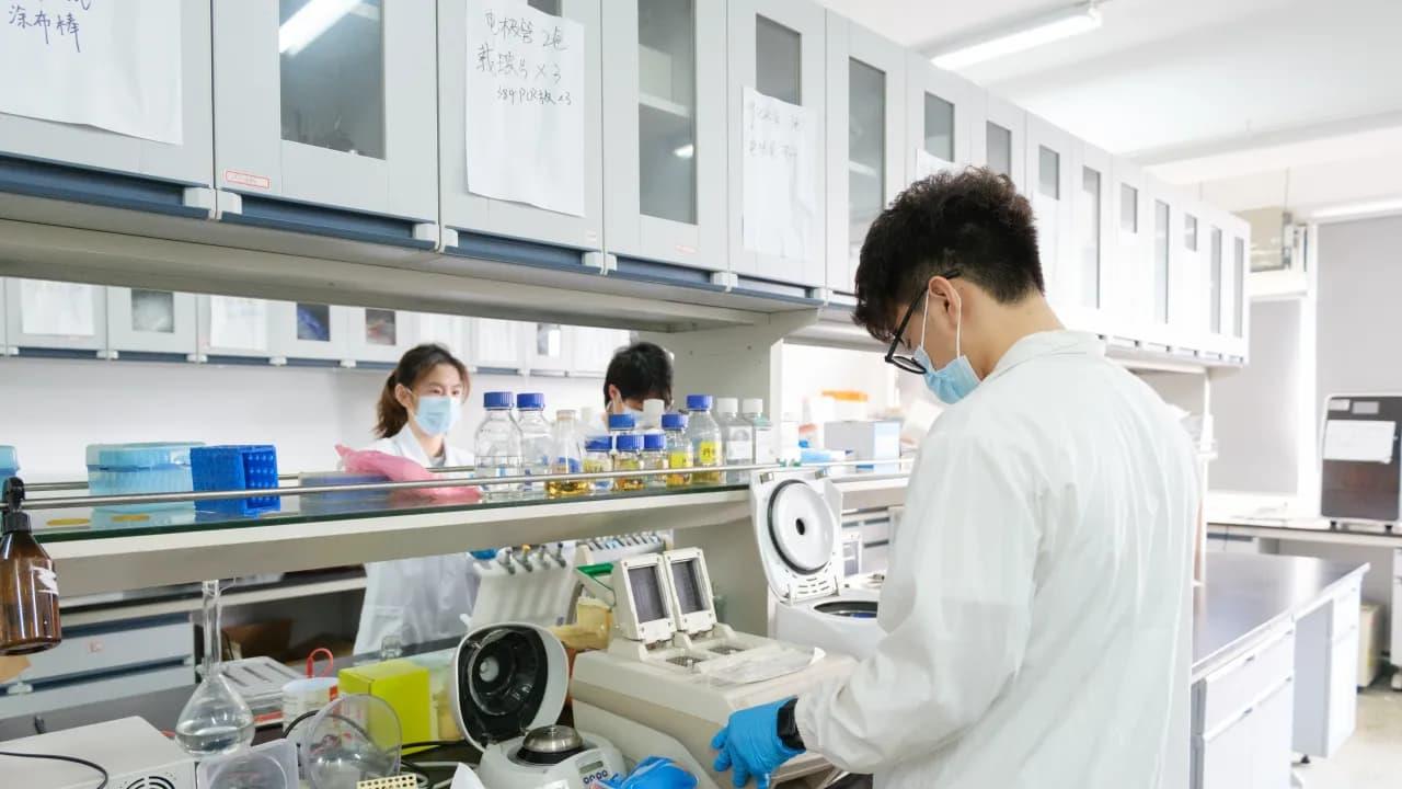 Big Pharma Eyes China: J&J And Roche Reportedly In Talks For Henlius' Experimental Cancer Drug Big Pharma Eyes China: J&J And Roche Reportedly In Talks For Henlius' Experimental Cancer Drug