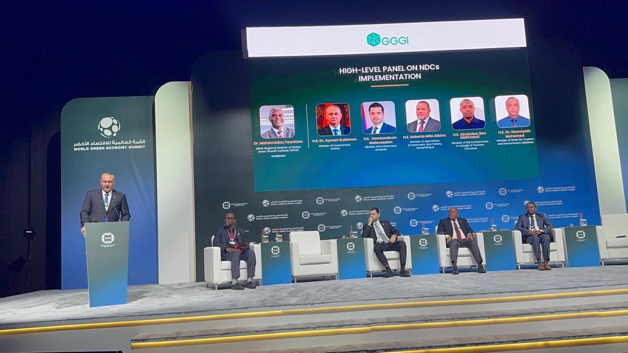 Environment Minister Participates In World Green Economy Summit In Dubai Environment Minister Participates In World Green Economy Summit In Dubai