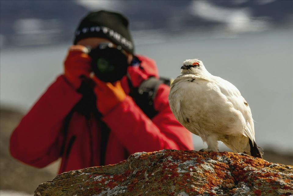 The Remarkable Rise Of Ebird  The World's Biggest Citizen Science Project Nick Dale/Design Pics Editorial/Universal Images Group via Getty Images)