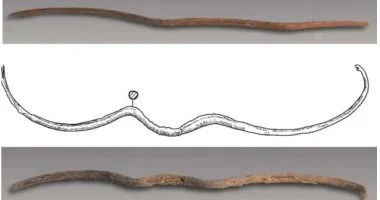 علماء يكشفون عن أخطر سلاح فى العصر البرونزى.. عرف فى مصر  منذ آلاف السنين علماء يكشفون عن أخطر سلاح فى العصر البرونزى.. عرف فى مصر  منذ آلاف السنين