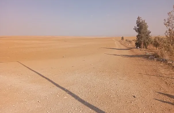 الكرك: مزارعون يطالبون بتعبيد الطرق الزراعية الواصلة إلى أراضيهم الكرك: مزارعون يطالبون بتعبيد الطرق الزراعية الواصلة إلى أراضيهم