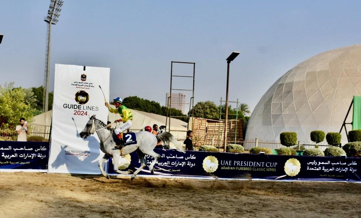 مصر تستضيف كأس رئيس الدولة للخيول العربية الأصيلة في محطته الـ 15 مصر تستضيف كأس رئيس الدولة للخيول العربية الأصيلة في محطته الـ 15