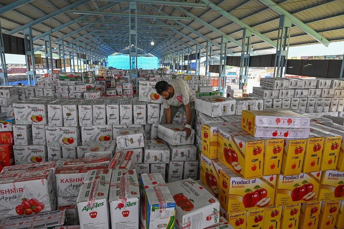The Brokers Of Betrayal: How Kashmir's Apple Farmers Lose Twice The Brokers Of Betrayal: How Kashmir's Apple Farmers Lose Twice