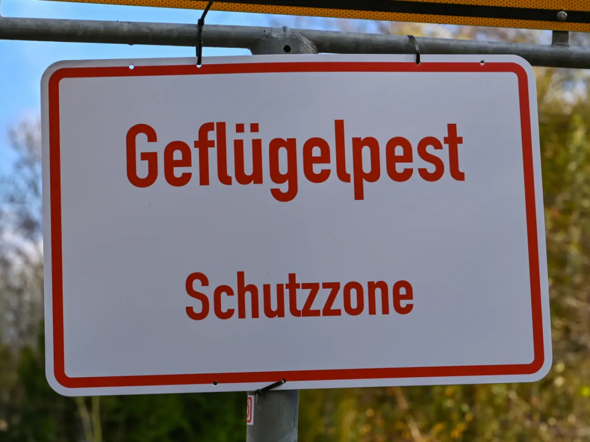 Swiss Government Remains Vigilant As Bird Flu Cases Increase Across Europe Swiss Government Remains Vigilant As Bird Flu Cases Increase Across Europe