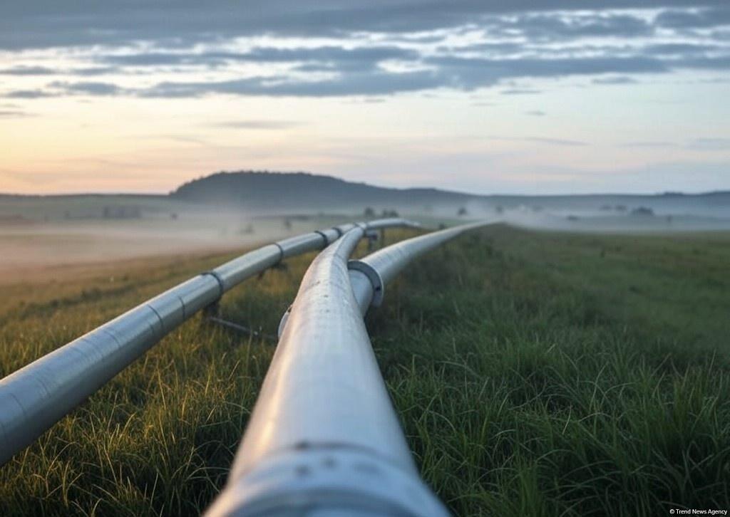 Uzbekistan Boosts Gas Exports While Cutting Imports Uzbekistan Boosts Gas Exports While Cutting Imports