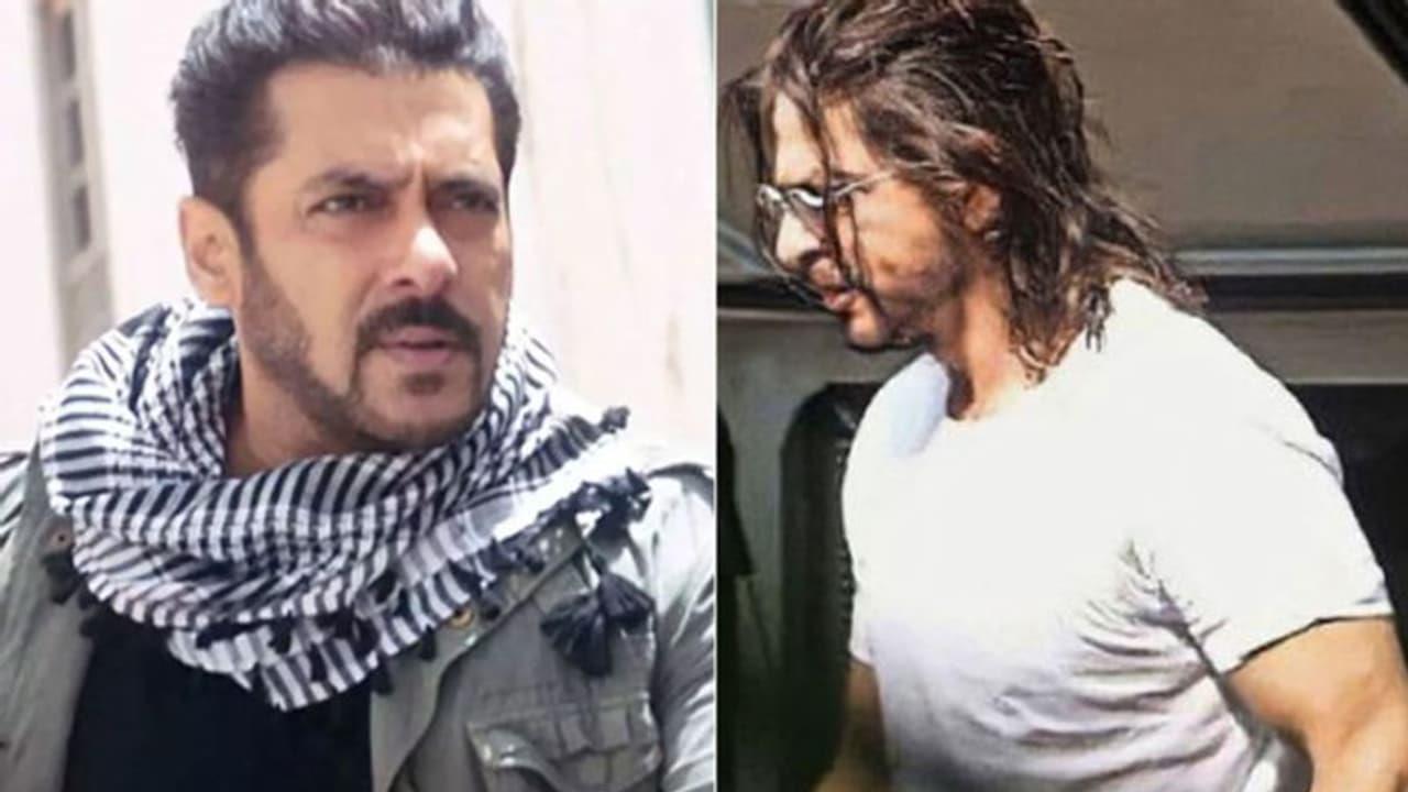 Are Shah Rukh Khan And Salman Khan Reuniting As Pathaan And Tiger In Alia Bhatt's 'Alpha'? Are Shah Rukh Khan And Salman Khan Reuniting As Pathaan And Tiger In Alia Bhatt's 'Alpha'?