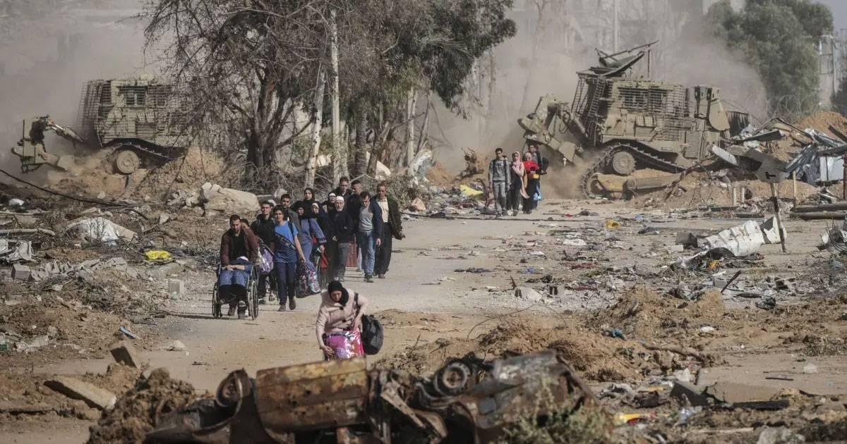 جدة فلسطينية تُعيد الحياة والأمل لأحفادها من رماد الحرب جدة فلسطينية تُعيد الحياة والأمل لأحفادها من رماد الحرب