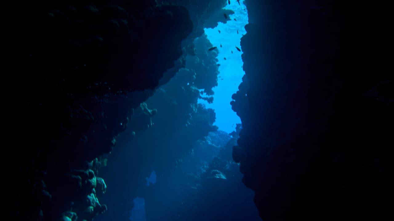 Earth Is Slowly Tearing Beneath The Pacific Northwest, Scientists Report Earth Is Slowly Tearing Beneath The Pacific Northwest, Scientists Report