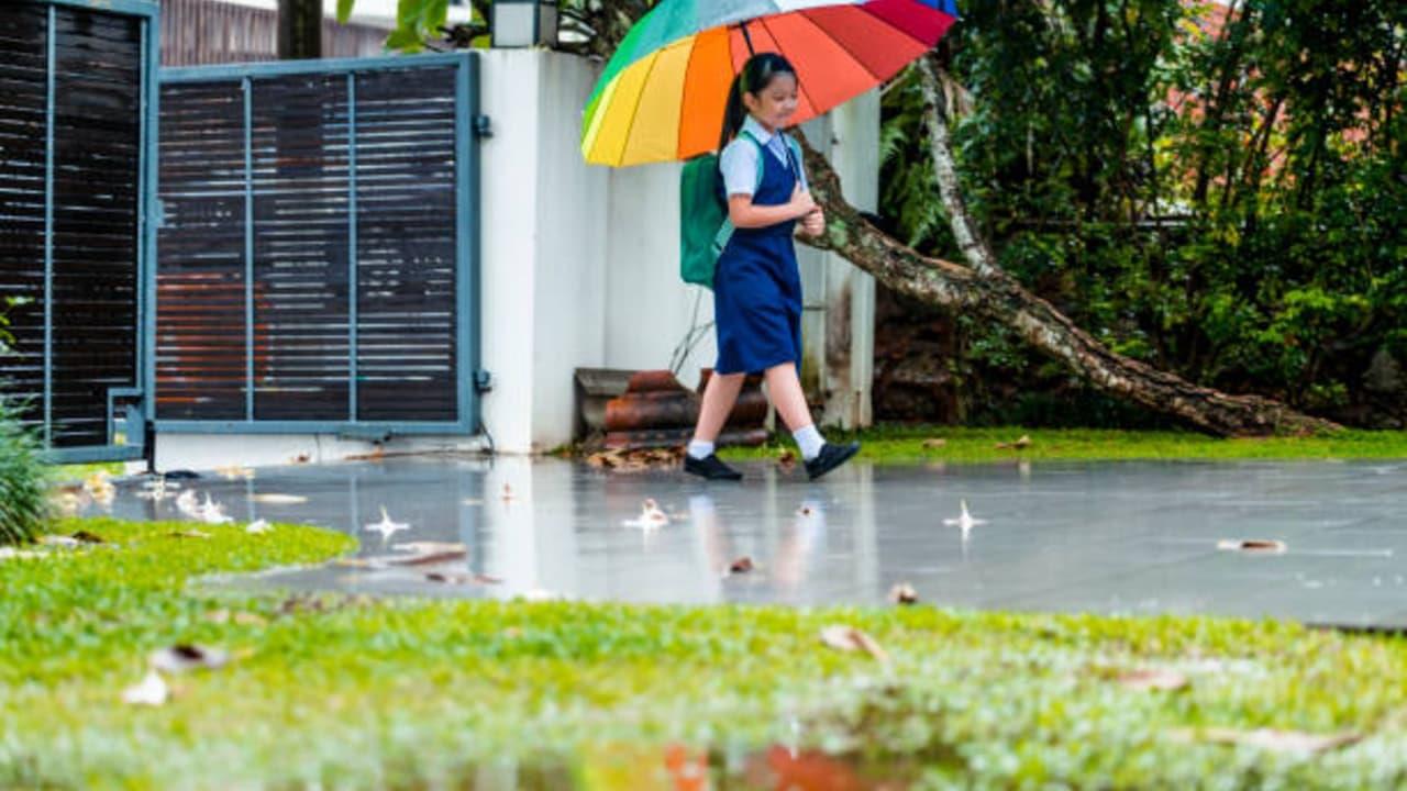 India's Most Expensive Schools: Discover The Elite Institutions With The Highest Fees India's Most Expensive Schools: Discover The Elite Institutions With The Highest Fees