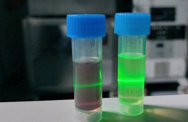 ابتكار روسي ثوري.. حامل نانوي آمن للأدوية من بروتين الدم ابتكار روسي ثوري.. حامل نانوي آمن للأدوية من بروتين الدم