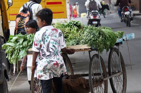 Rajasthan: Children Below 14 Banned From Working In Shops And Commercial Establishments Rajasthan: Children Below 14 Banned From Working In Shops And Commercial Establishments