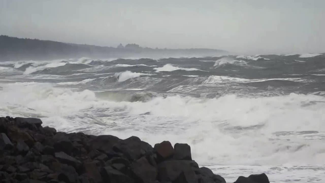 Cyclone Montha: One Dead, Several Injured As Severe Storm Hits Andhra Coast    Over 11,000 Evacuated In Odisha Cyclone Montha: One Dead, Several Injured As Severe Storm Hits Andhra Coast    Over 11,000 Evacuated In Odisha