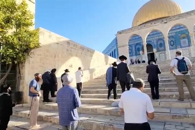 مداهمات في مناطق مختلفة بالضفة الغربية ومستوطنون يقتحمون الأقصى مداهمات في مناطق مختلفة بالضفة الغربية ومستوطنون يقتحمون الأقصى