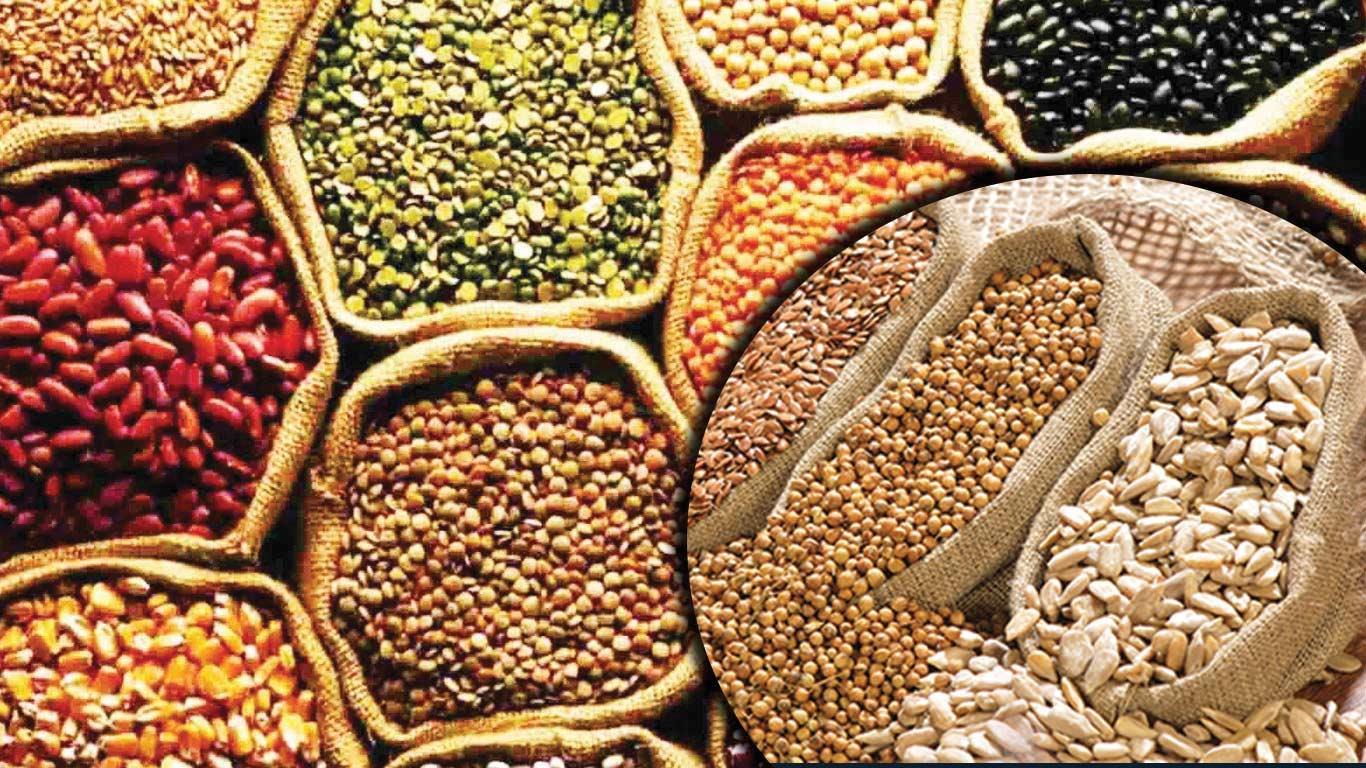 Govt Approves Rs 15,095 Cr Procurement Plan For Pulses, Oilseeds Across 4 States Govt Approves Rs 15,095 Cr Procurement Plan For Pulses, Oilseeds Across 4 States