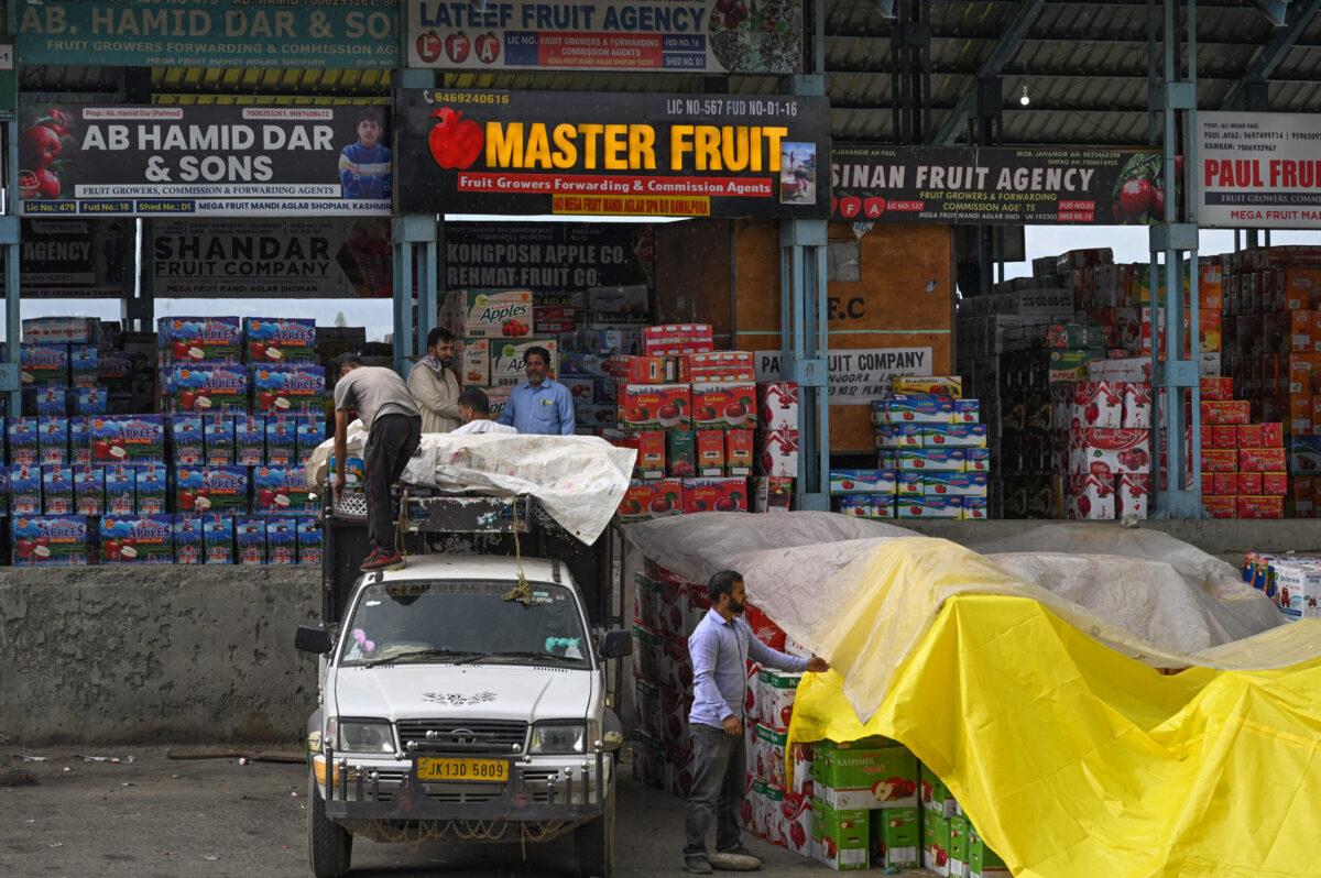 Only 1% Of Apple Produce Stranded During Highway Blockade: J & K Govt Only 1% Of Apple Produce Stranded During Highway Blockade: J & K Govt