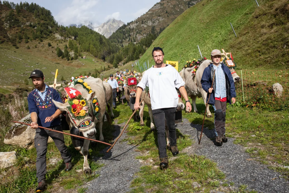 'Not Heidi': The Hard Work Behind The Alpine Idyll 'Not Heidi': The Hard Work Behind The Alpine Idyll
