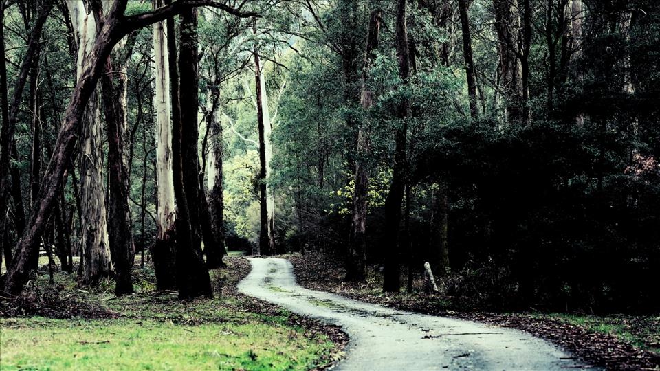 Far-Right Extremists Are Setting Up Rural Enclaves Around The World. We Need To Counter The Threat They Pose Simon Dallingers/AAP