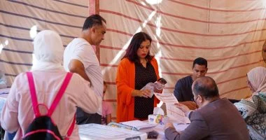 القانون يحدد عقوبة التصويت فى الانتخابات أكثر من مرة.. اعرف التفاصيل القانون يحدد عقوبة التصويت فى الانتخابات أكثر من مرة.. اعرف التفاصيل