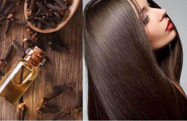 القرنفل ينعش شعرك في الشتاء: 8 فوائد مذهلة للعناية بالنمو والقوة واللمعان القرنفل ينعش شعرك في الشتاء: 8 فوائد مذهلة للعناية بالنمو والقوة واللمعان