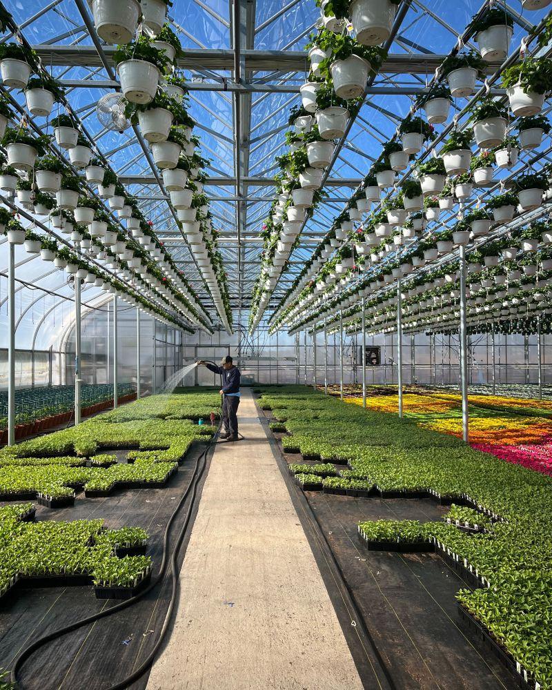 Partnering With Farms Like De Francesco Farm, Sysco Is Helping Reduce Exposure To Global Supply Disruptions And Supporting Regional Economies Partnering With Farms Like De Francesco Farm, Sysco Is Helping Reduce Exposure To Global Supply Disruptions And Supporting Regional Economies