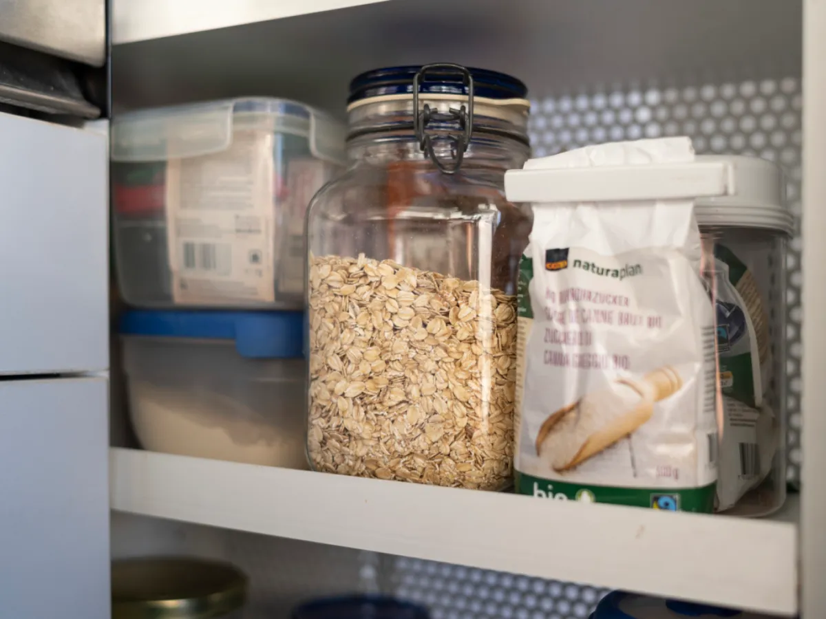 Researchers Investigate Long-Lost Swiss Oat Variety Researchers Investigate Long-Lost Swiss Oat Variety